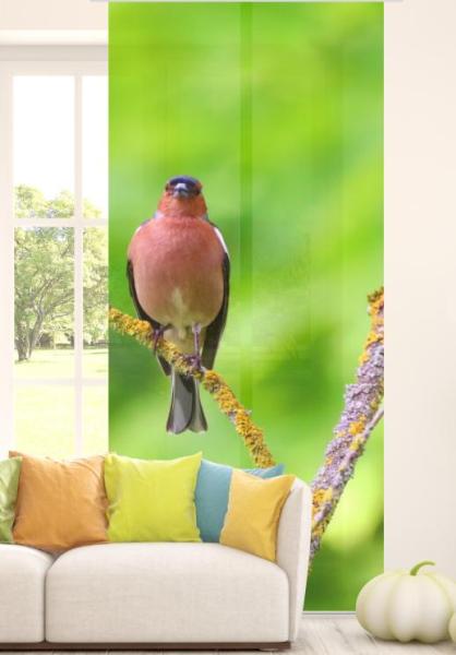 Der Stille Flächenvorhang 2teilige mit tollem Vogelmotiv - Singvogel - 2er Set